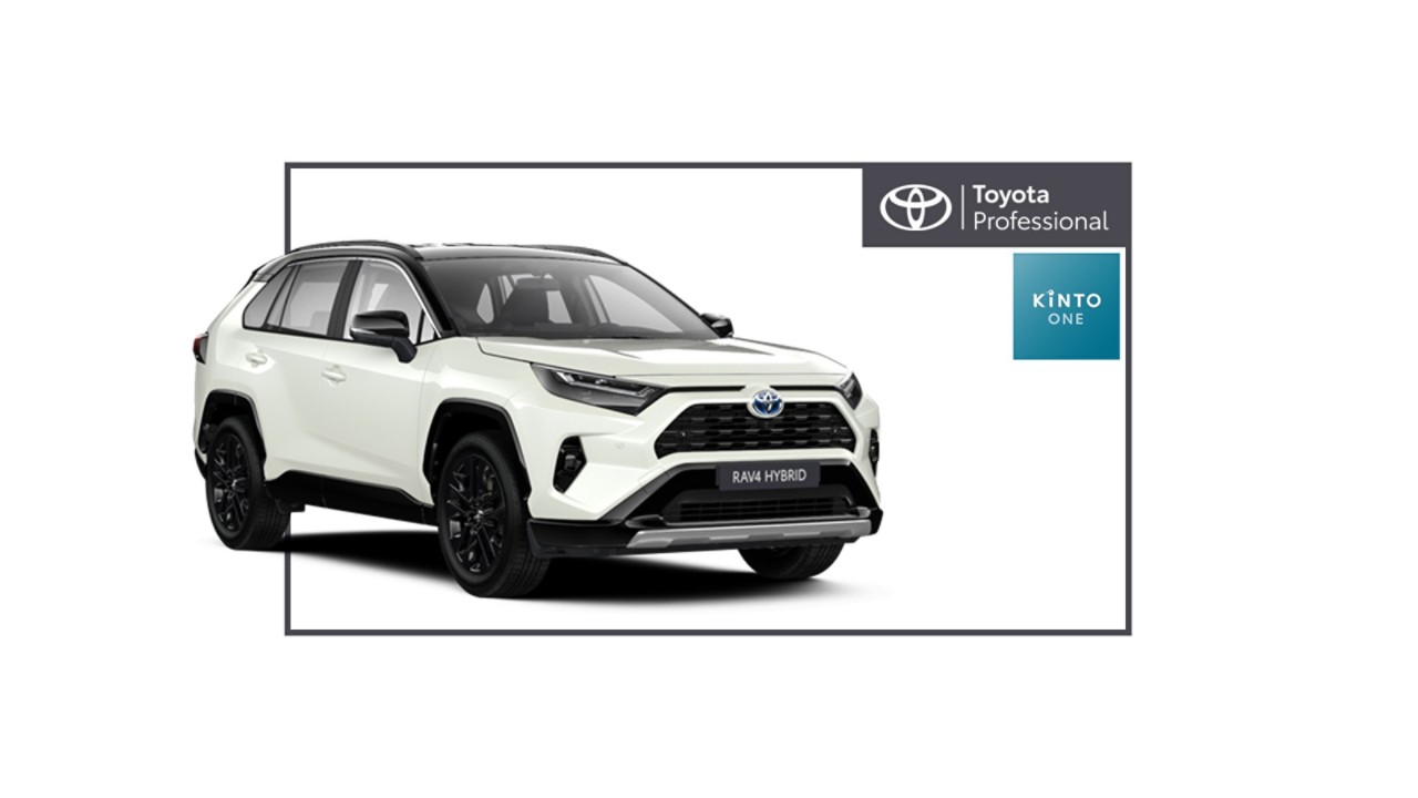 RAV4 Hybride Dynamic Business 