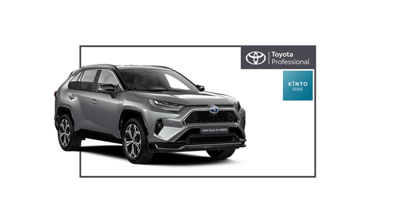 RAV4 Hybride Rechargeable Business