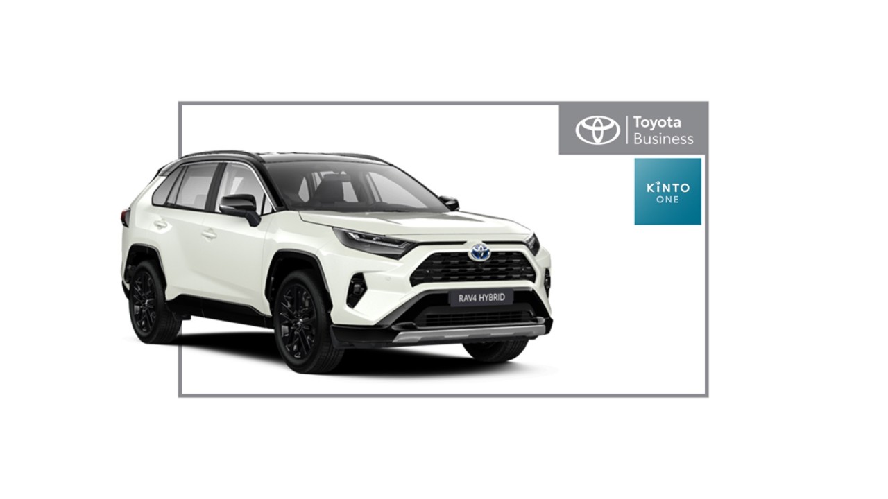 RAV4 Hybride Dynamic Business 