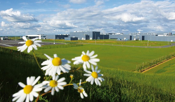 Margueritte devant le site TMMF