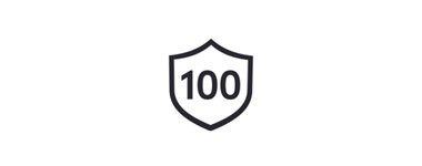 icone 100