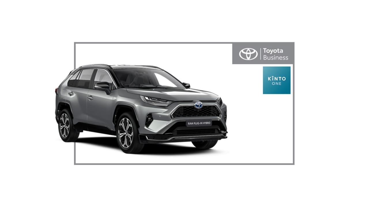 RAV4 Hybride Rechargeable Business