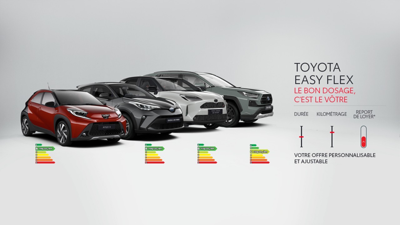 Toyota Easy Flex