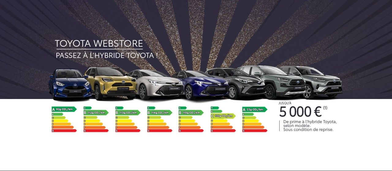 header-stocks-11-2022-1600x700